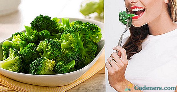 Chemické zloženie a výhody brokolice pre telo