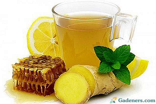 Lemoniada imbirowa - napój zdrowotny