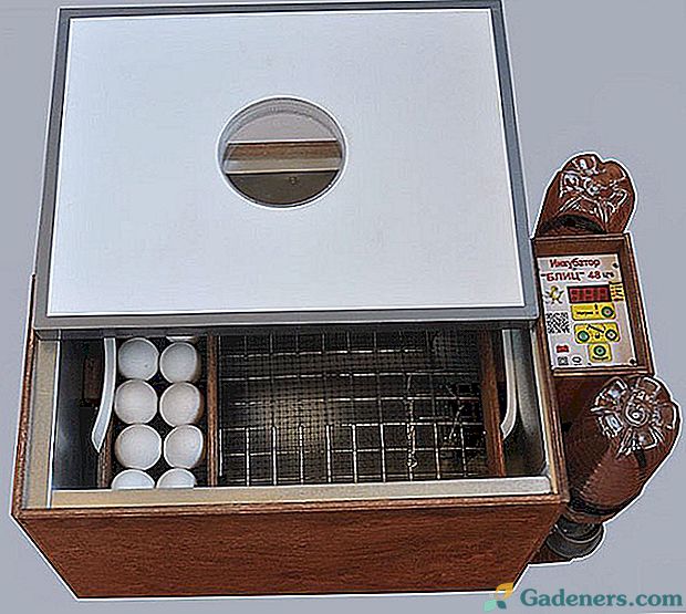 Inkubatorius Blitz - patyrusių naminių paukščių augintojų pasirinkimas