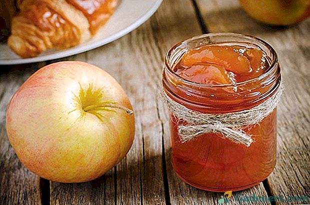 Zanimive recepte za jam od jabolk z pomarančami