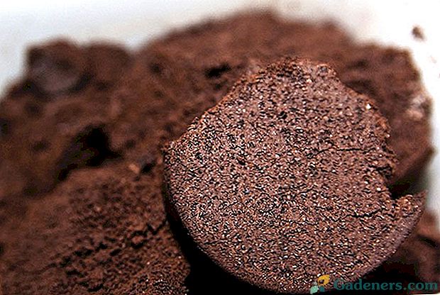 Naudokite sodo kavos pyragą kaip trąšą
