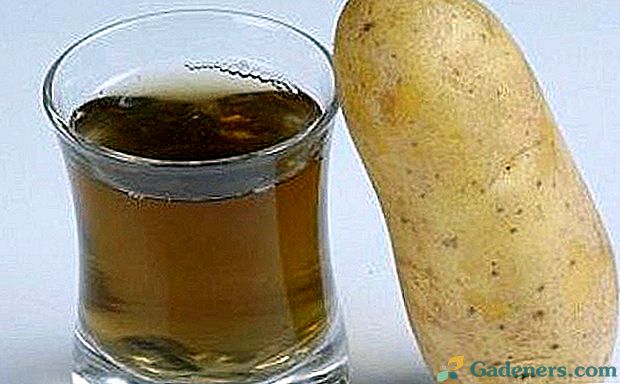 krumpir s hipertenzijom)