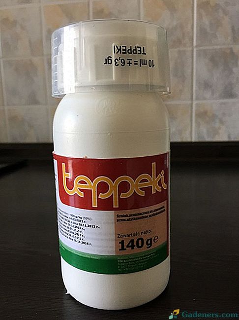 Na mieste používame proti škodcom účinný insekticíd Teppeki