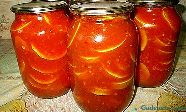 Skanūs cukinijos konservai pomidorų sultyse žiemai