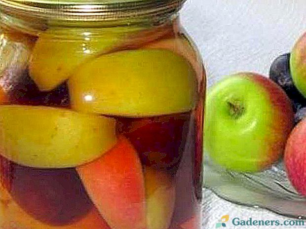 Cik ātri izdarīt kompotu ābolu un plūmju: receptes, konservu un padomus
