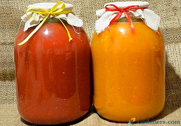 Kaip padaryti, kad pomidorų sultys namuose be sulčiaspaudės?