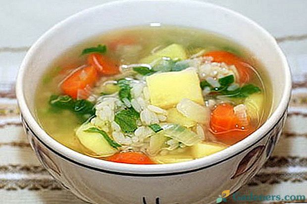 Kako se naučiti kuhati bogato juho z rižem, krompirjem in mesom