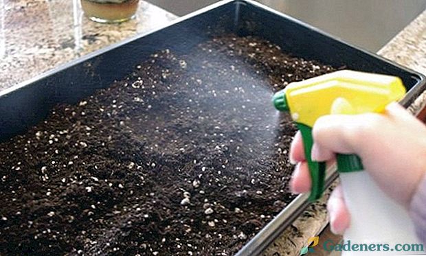 Ako dezinfikovať pôdu pre sadenice: najlepšie a jednoduché metódy