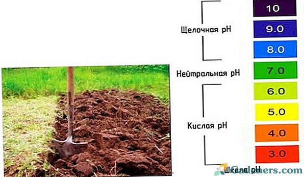 Как да се определи киселинността на почвата чрез научни и народни методи