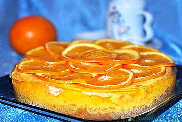 Ako variť oranžový koláč