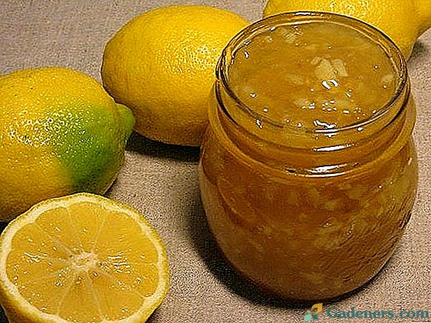 Ako variť doma lahodný a zdravý citrónový džem