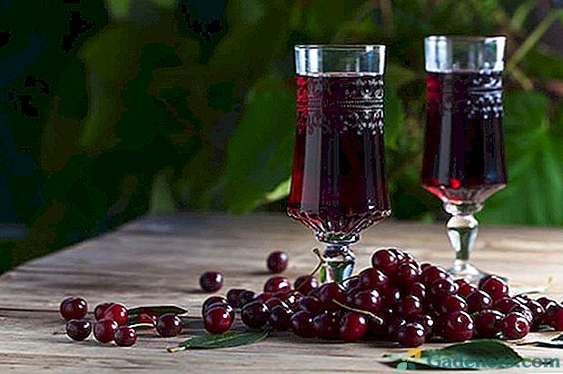 Як приготувати домашнє вишневе вино