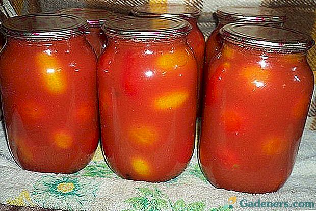 Jak vařit rajčata ve vlastní šťávě pro zimu - oblíbené recepty