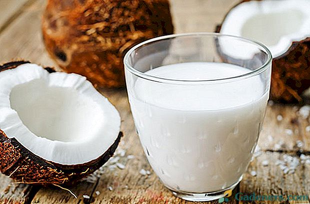 Как да направите и консумирате кокосово мляко