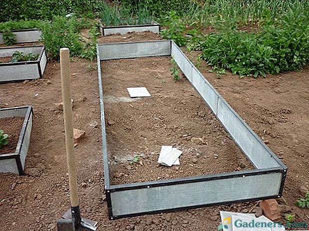 Kaip padaryti lovų sodą be lentų?