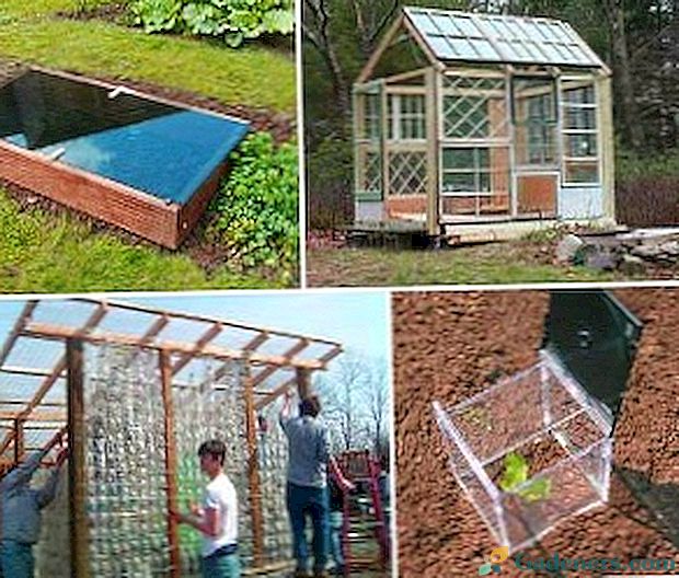 Ako vytvoriť mini-skleníky pre sadenice s vlastnými rukami?