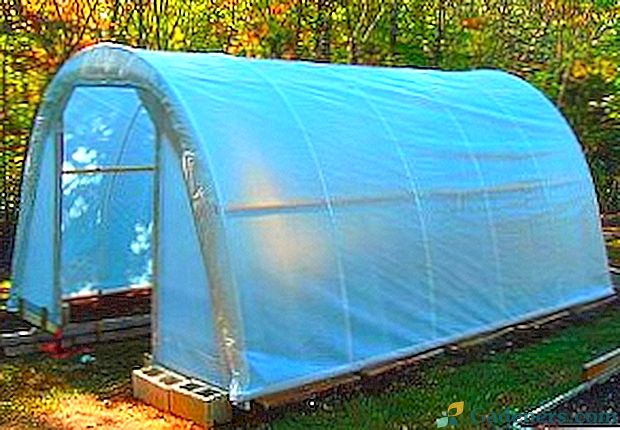 Ako vytvoriť skleník pre sadenice vlastnými rukami?