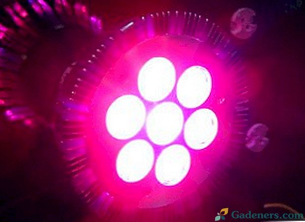 Kā padarīt LED sānu apgaismojumu stādiem ar savām rokām?