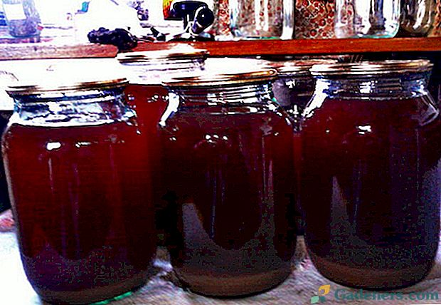 Приготовление яблочно виноградного сока. Виноградный сок домашний. Сок из винограда в домашних. Сок из винограда на зиму. Приготовление виноградного сока.