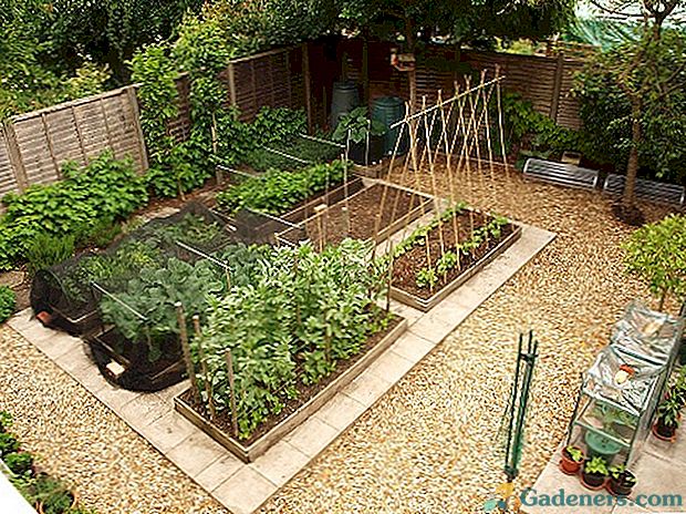 Kā plānot dārzu nelielā gabalā?