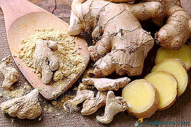 Kako jesti sočan đumbir korijen u hrani i za liječenje
