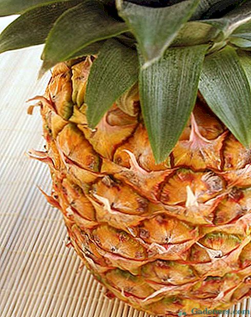 Kaip pasirinkti prinokusius ir saldžius ananasus