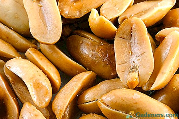 Як смажити арахіс на сковороді, в духовці і мікрохвильовій печі
