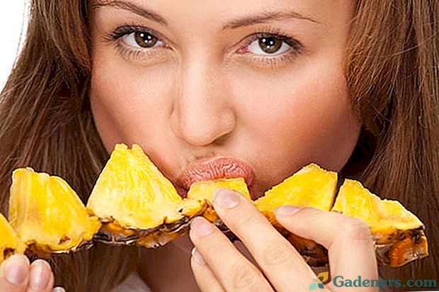 Koks yra šviežių ananasų naudojimas žmogaus organizmui?