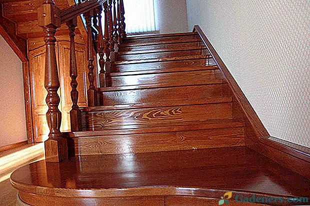 Katere vrste lesenih stopnic lahko naredite sami