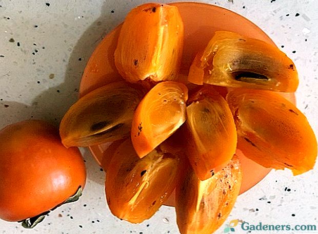 Kateri vitamini v persimmonu - sestava in prednosti sadnih madežev