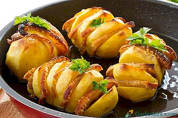 Krumpir s slaninom u pećnici - ukusna kuhanja recepata