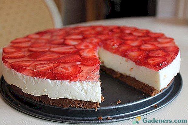 Strawberry Cheesecake - Najbolj okusen recept