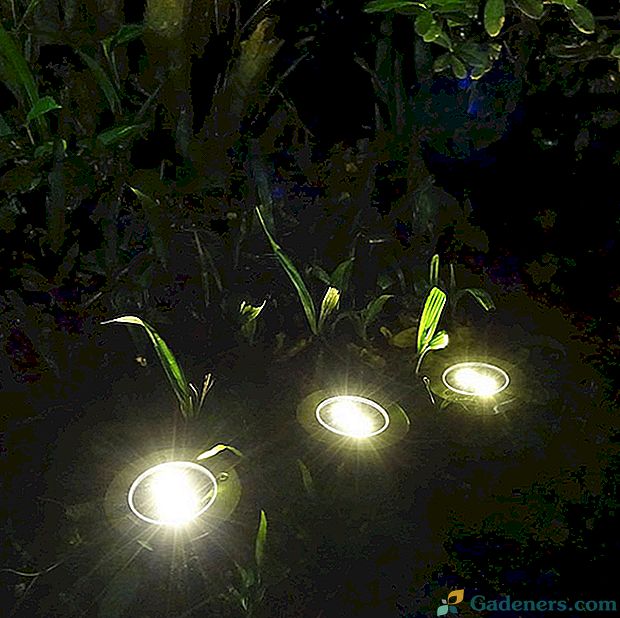 Kompaktné svetlá na trávnik z Číny