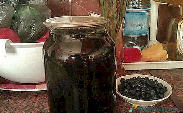 Kompot z borůvky: vitamíny ve sklenici