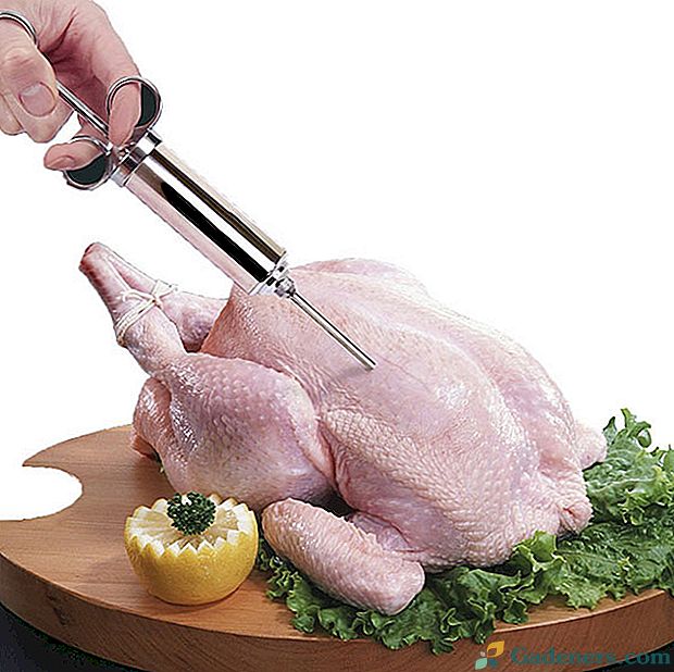 Kulinarična brizga s Kitajske in vaša ptica / svinjina, ki čaka lepo injekcijo