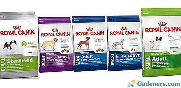 Royal Canin hraniti liniju za pse i kako odabrati prikladnu opciju