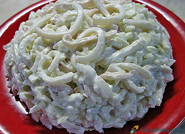 Najbolji recepti za salatu s lignjem