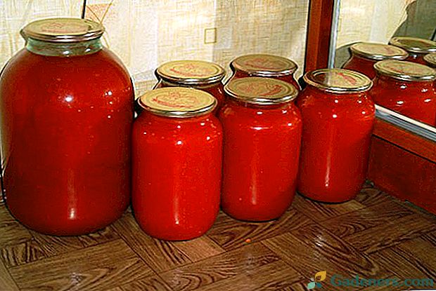 Кращі рецепти томатного соку через м'ясорубку на зиму