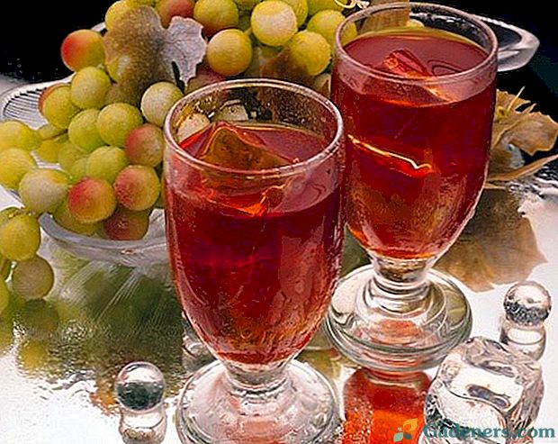 Najboljši recepti za okusno grozdje vino doma