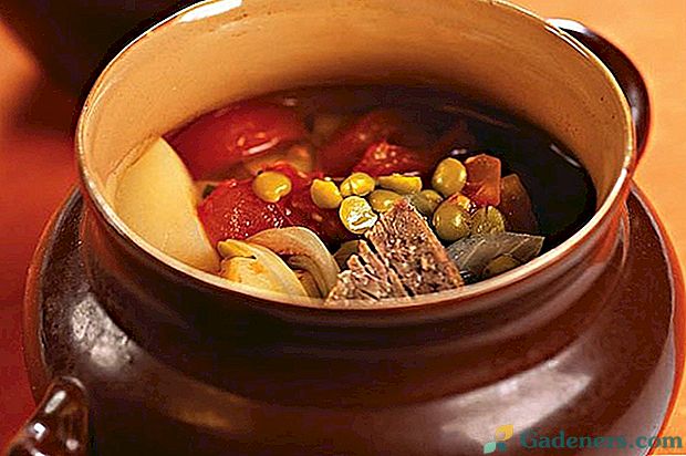 Priljubljena jed iz azijskih ljudi - juha s češnjo in jagnjetino