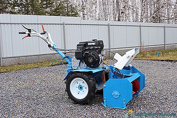 Blok silnika Neva z narzędziami na zawiasach, aby pomóc ogrodnikowi