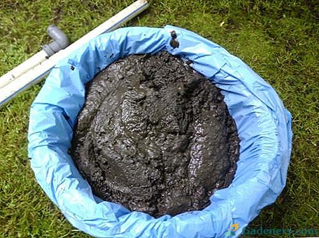 Je li moguće koristiti mulj iz septičkog spremnika kao gnojiva?
