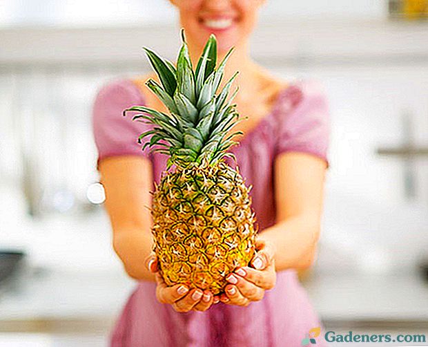 Колико је корисно ананас за губитак тежине