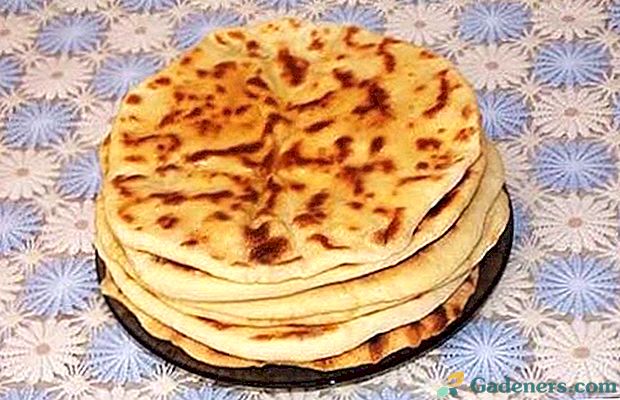 Национално јело народа Кавказа - хичина с кромпиром и сирем