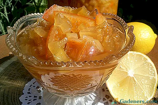Nenavadna kombinacija: marmelada z bučkami z dodatkom limone in pomaranče