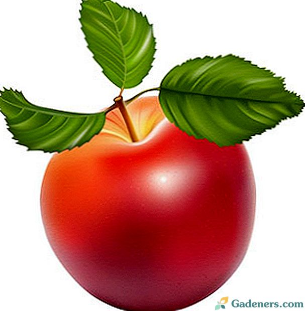 Jums jāzina, kāpēc ābolu nolaiž ābolus, lai saprastu, ko darīt.