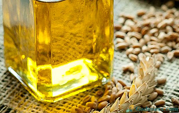 Ползите от масло от пшеничен зародиш и как да се използва