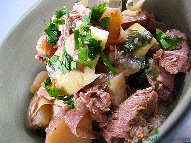 Oběd turistické v domácí kuchyni - brambory s gulášem