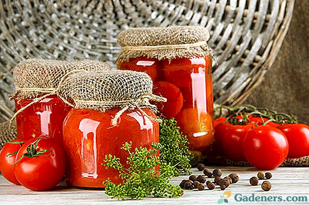 Не забравяйте да засадите на място консервирани сортове домати