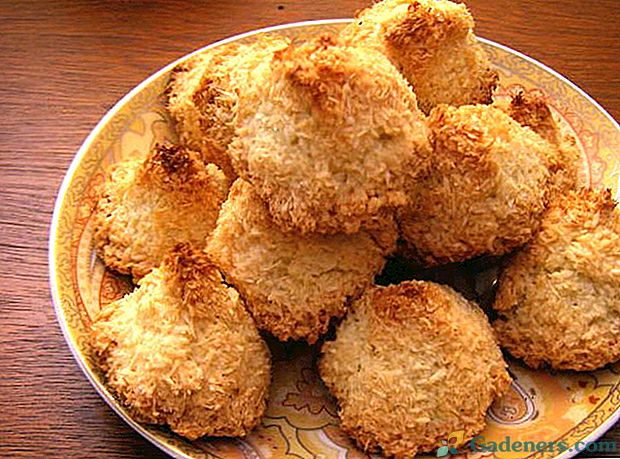 Ozveny nebeskej radosti s kokosovými raňajkami cookies